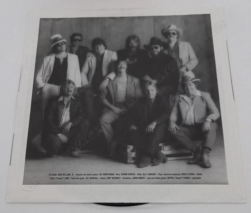 Hank Williams Jr., Hank "Live" Image 1++